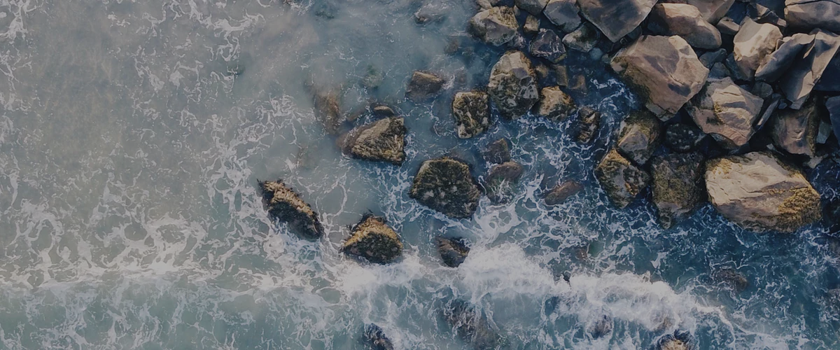 gallery/background-01